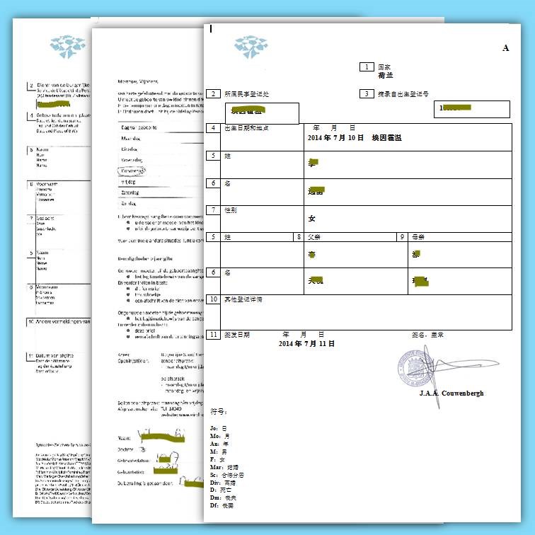 荷兰出生证明翻译模板